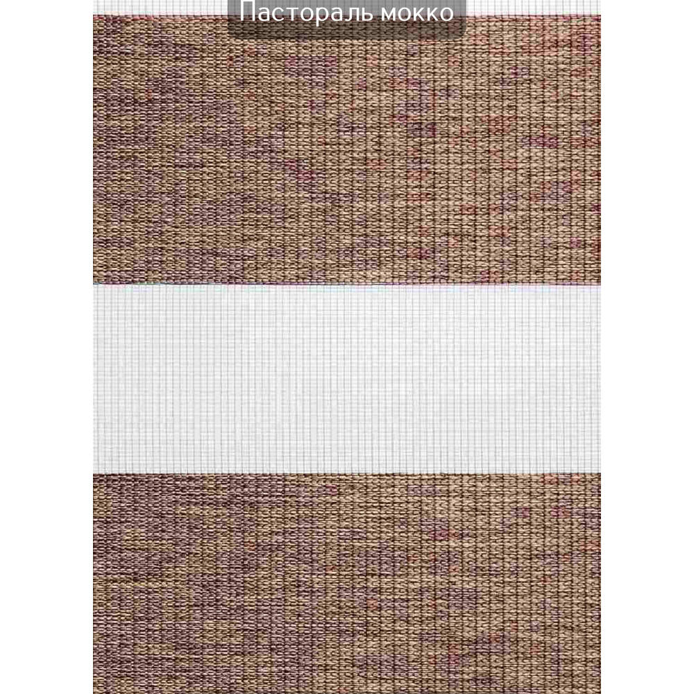 Ролети День-ніч Пастораль мокко