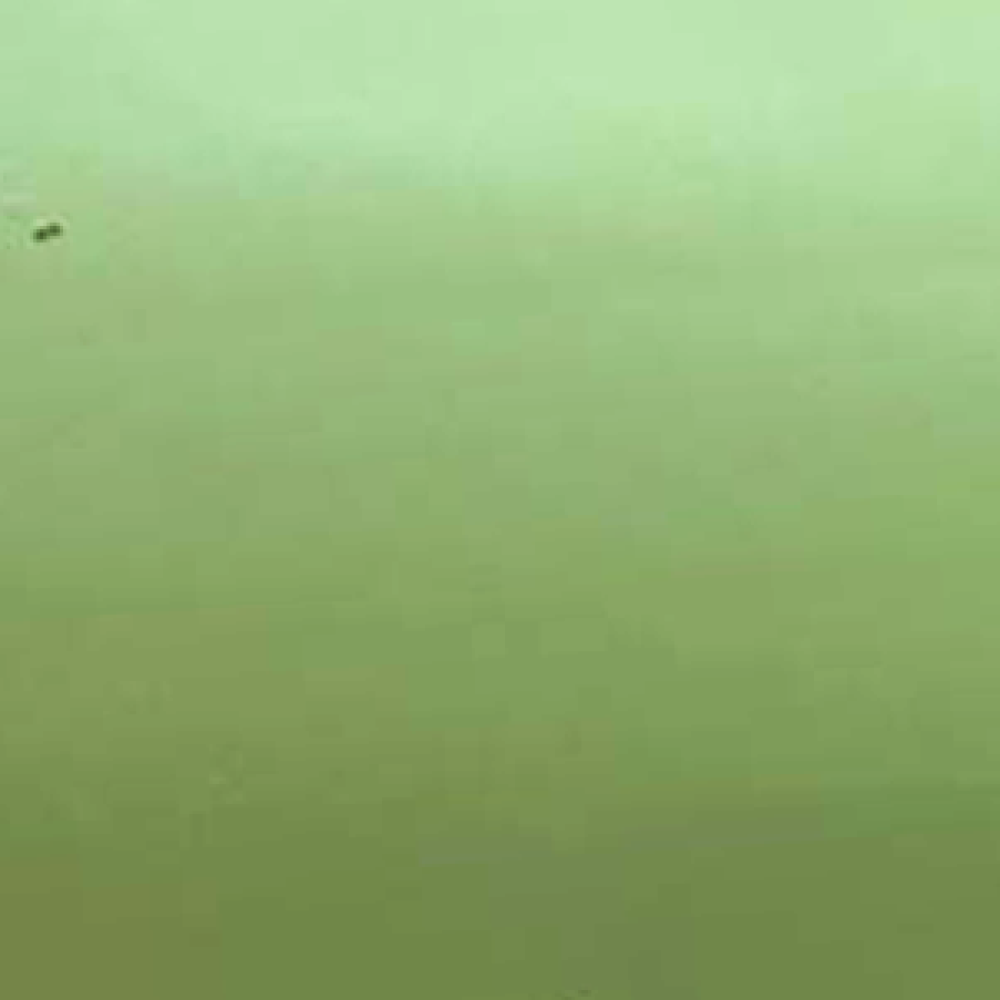 Жалюзі класичні горизонтальні зелені (25мм) 